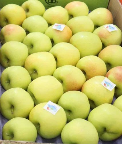 A Grade Kinnaur organic Golden Apple at ₹ 150/kg in Kinnaur | ID ...