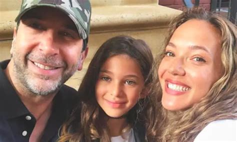 david schwimmer biografia resumida  corta