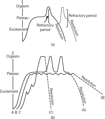 Refractory period - Sex Ed Encyclopedia