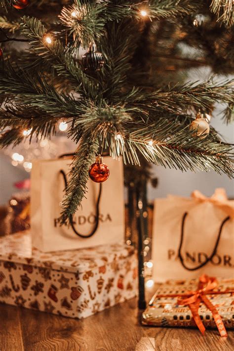 Why Are Pandora Earrings Considered a Luxury? - Broke and ChicBroke and