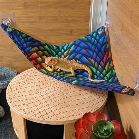 Bearded Dragon Hammock multiple Designs Available - Etsy