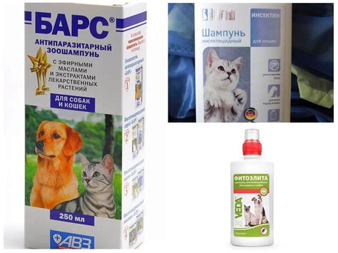 Средства от блох для кошек и котят: какими эффективными препаратами ...