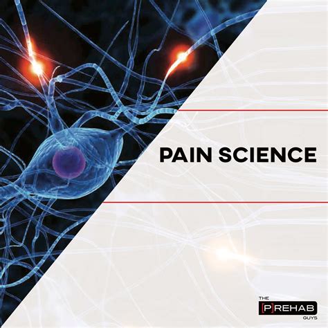 The Truth Behind Pain Science | The Prehab Guys