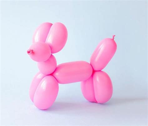 How to Make a Balloon Animal for Beginners in 2024 | Balloon animals ...