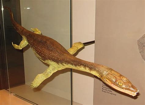 Lariosaurus-LBT preview | New ideas by Matt Weaver Wiki | Fandom