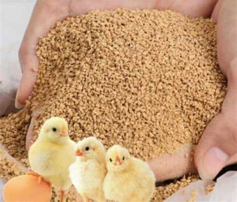 Brown Poultry Broiler Chicken Feed at Best Price in Vellore | M M M Exim