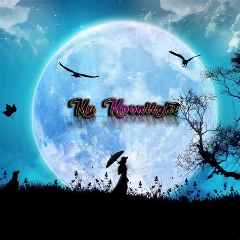 My Moonlight