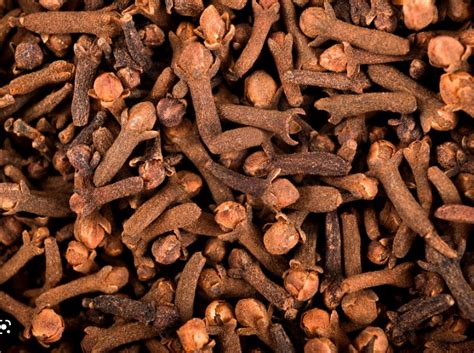 Clove - Efrata Global Resource