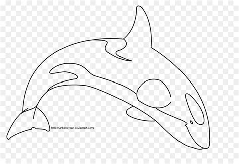 Killer Whale Outline Drawing at PaintingValley.com | Explore collection ...