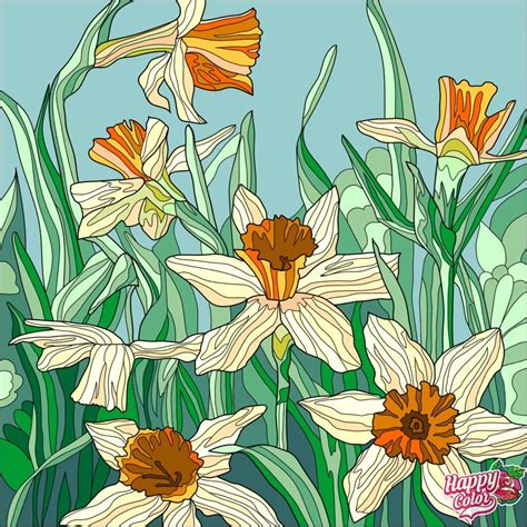 Narcissus | Нарциссы, Раскраски, Абстрактные рисунки