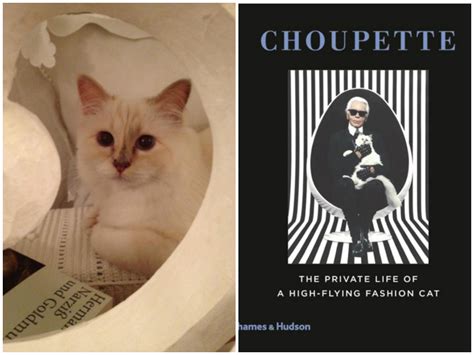 Karl Lagerfeld's Kitty Choupette Has Her Own Book! #1 | Books ...