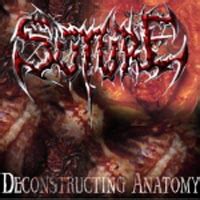 Deconstructing Coomer Su: The Music, the Madness, and the Meaning Behind It All - lyow3p7