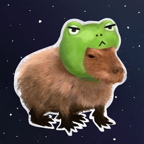 Капибара в шапочке