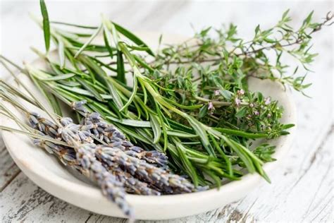 How to Start an Apothecary - My Wellness Me