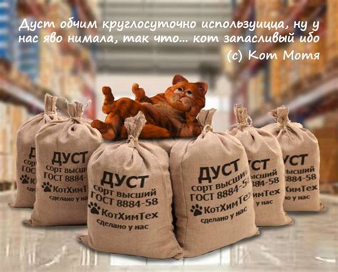 Кравцовъ on Twitter: "Нада буит шыбко хорошо надрать Кловану задницу ...