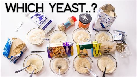 types  yeast  india dry active instant  fresh yeast