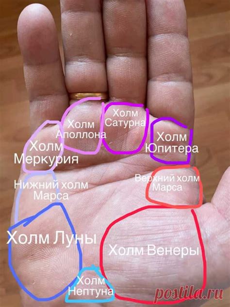 О крупном холме Луны на руке. | Ольга Межнякова | Дзен