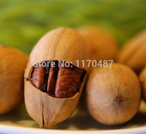 Купить сухие плоды большой круглый орех сухой орех carya illinoensis ...