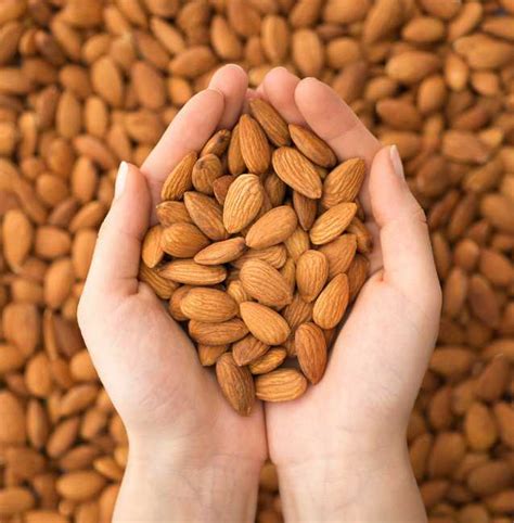 Do Almonds Need To Be Organic? - Handy Farms
