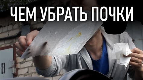 Как отмыть и чем убрать ТОПОЛИНЫЕ почки с кузова машины | Бонусы под ...