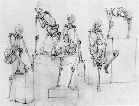 Image result for готфрид баммес анатомия для художника | Anatomía del ...