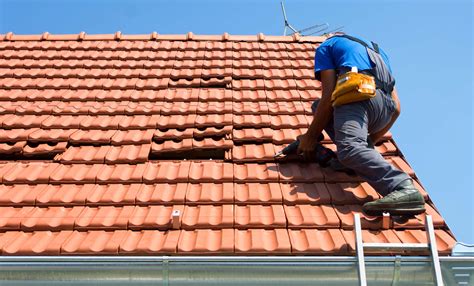 Emergency Storm Damage Repair Services in Boca Raton