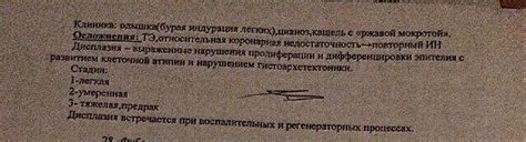 Макропрепараты_Патологическая_анатомия_Часть_1