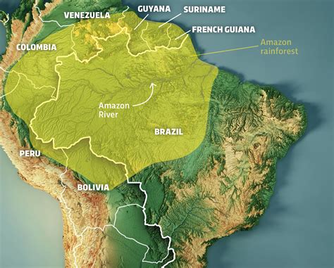 How Big Is The Amazon Rainforest In Brazil - Infoupdate.org