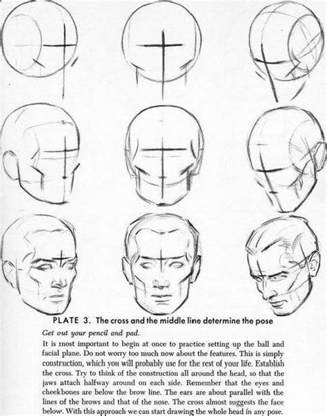 basic human head drawing - Buscar con Google | Grafica con anatomia ...
