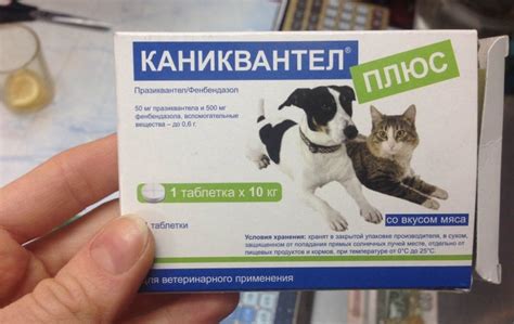 Каниквантел плюс для собак: инструкция по применению и отзывы
