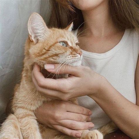 Pin by Савоченко Валерия on Картинки | Tattoos for women, Feminine ...