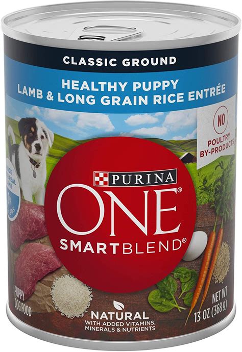 Purina ONE SmartBlend Natural Puppy Dog Food | Dog food recipes, Food ...