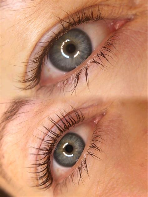 ламинирование ресниц | Brow lift, Brows, Eyelashes