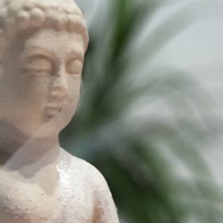 Йоги чай (Yogi tea) | YogaStudio.by
