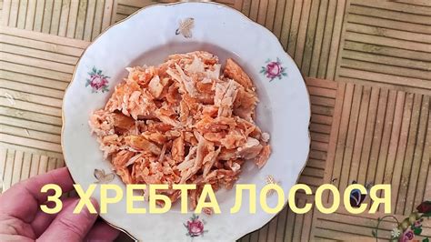 Не класична "ШУБА" з копченого ХРЕБТА ЛОСОСЯ - YouTube