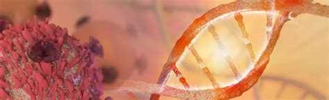 Cell & Gene Therapy - Aixial Group