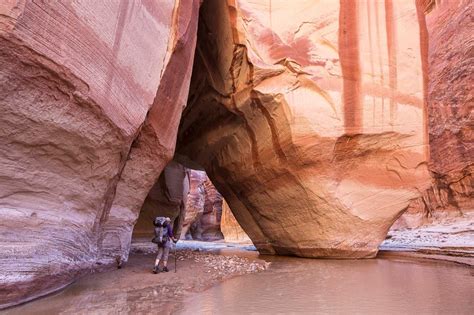 7 Vermilion Cliffs National Monument photos and tourist tips