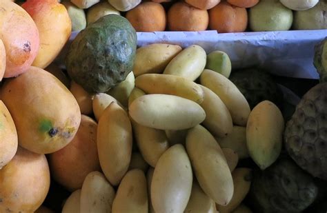 10 Strange Amazonian Fruits That Will Surprise You