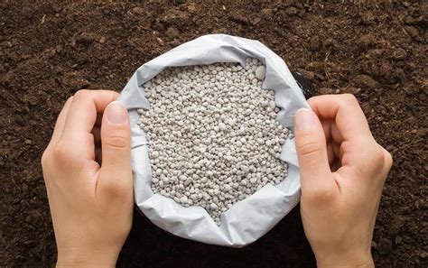 What is the “right place” for fertilizer? – Canola Digest