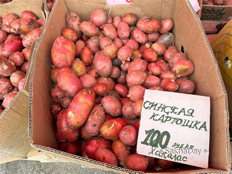 Сколько стоят овощи на рынке Якутска?