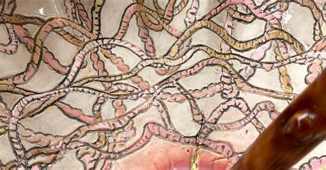 neil bender net worth