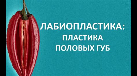 ЛАБИОПЛАСТИКА (пластика половых губ): прихоть или необходимость? - YouTube