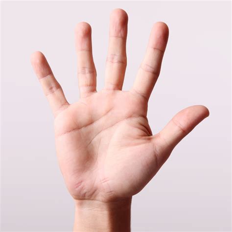 ananda centre yoga  hands