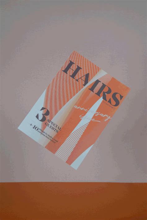 HAIRS Magazine on Behance