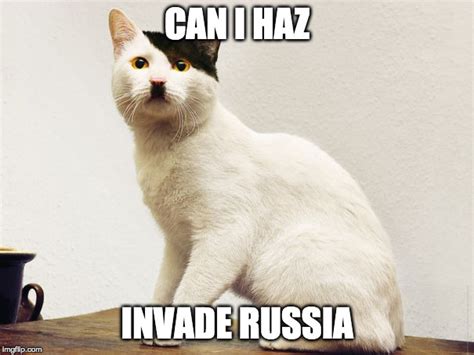 Hitler Cat - Imgflip