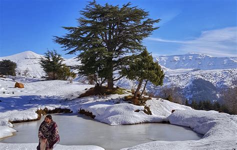 Snowshoeing Hadath el Jebbe with Lebanese Explorers « Lebtivity
