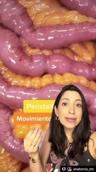 Peristaltismo! #anatomia - YouTube
