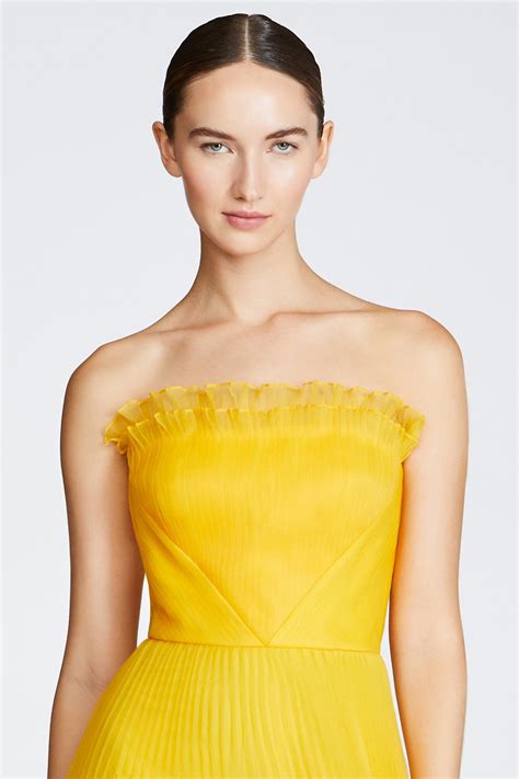 Enver Pleated Strapless Gown – THEIA