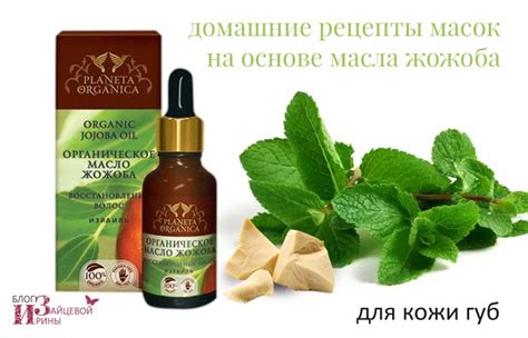 Масло жожоба для лица