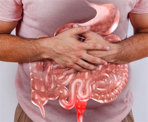 The Crucial Link Between Gut Health and Immune System
